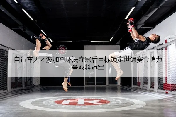 zi-xing-che-tian-cai-bo-jia-cha-huan-fa-duo-guan-hou-mu-biao-suo-ding-shi-jin-sai-jin-pai-li-zheng-shuang-liao-guan-jun-2-798.jpg